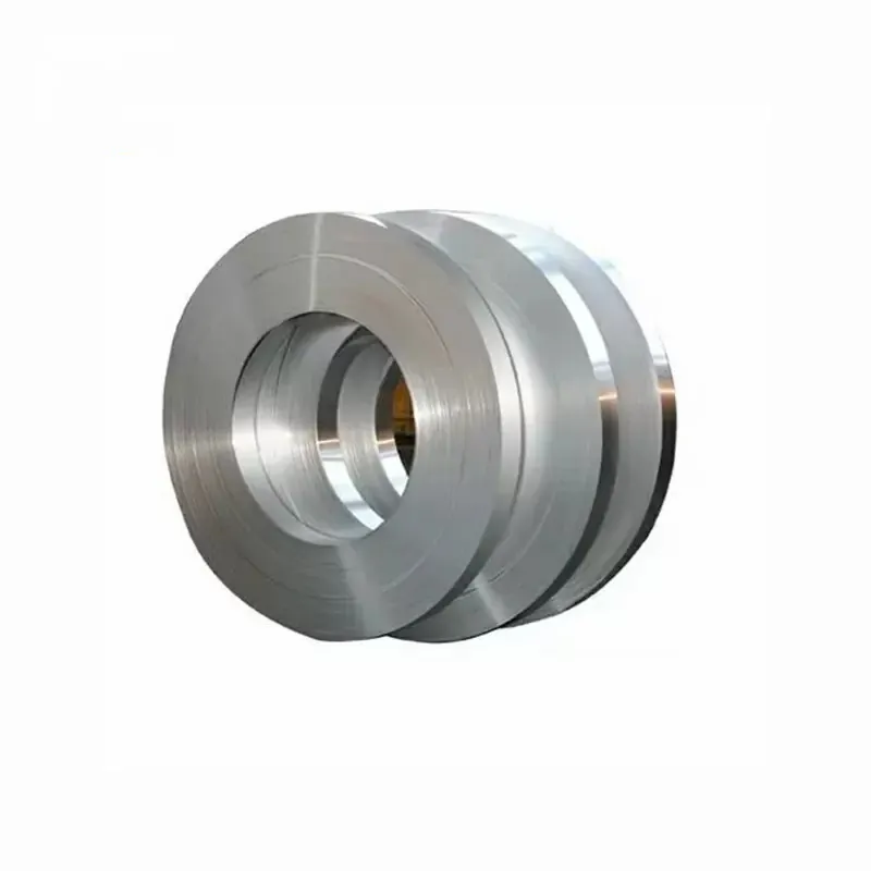Stainless steel strip